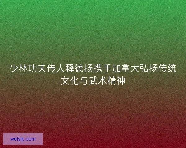 少林功夫传人释德扬携手加拿大弘扬传统文化与武术精神